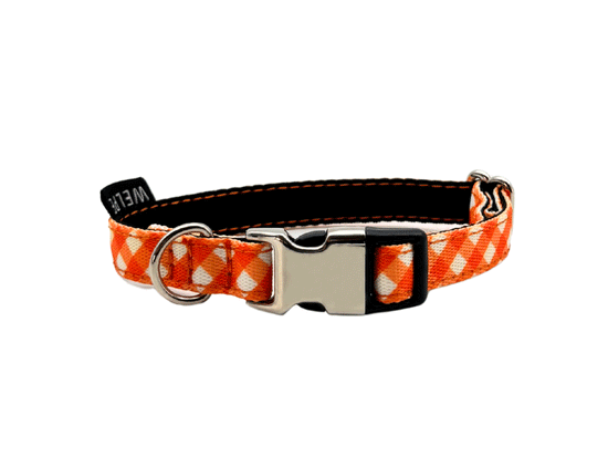 COLLAR PARA PERRO MINI CITRUS