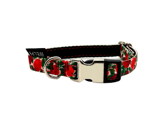 COLLAR PARA PERRO MINI RUBY