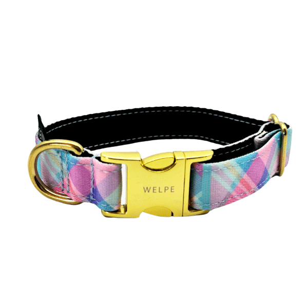 COLLAR PARA PERRO CANDY