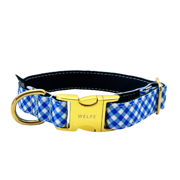 COLLAR PARA PERRO CAPRI