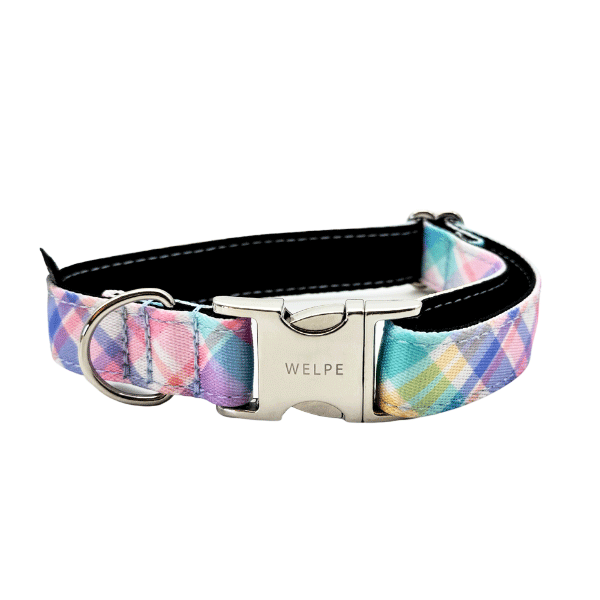 COLLAR PARA PERRO CANDY