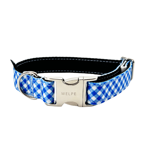 COLLAR PARA PERRO CAPRI