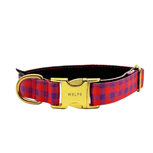 COLLAR PARA PERRO BERRY