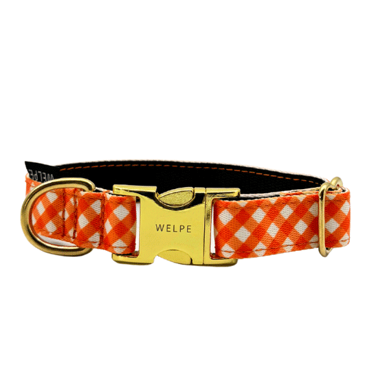 COLLAR PARA PERRO CITRUS