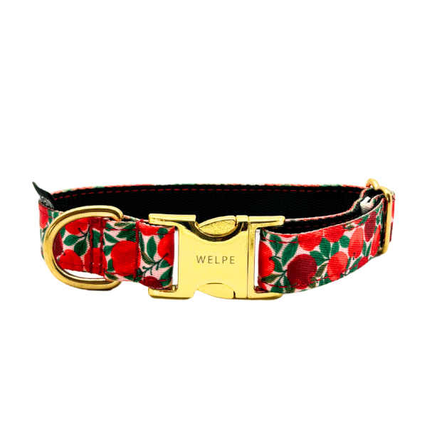 COLLAR PARA PERRO RUBY