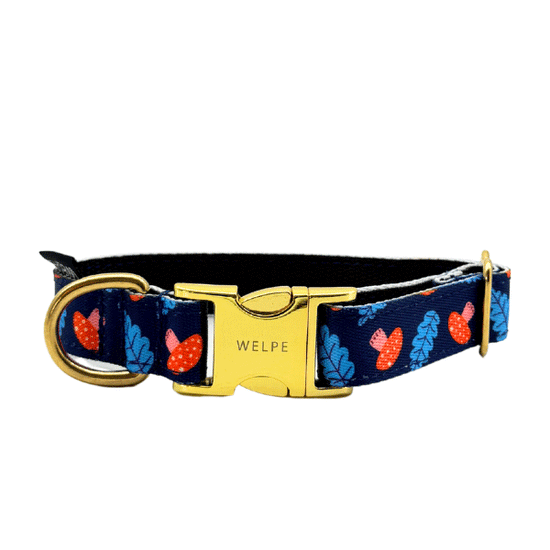 COLLAR PARA PERRO SHROOM