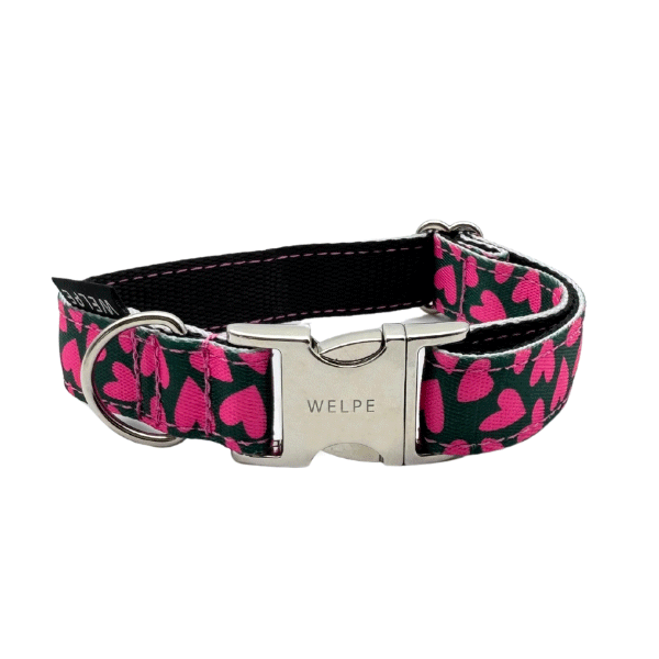 COLLAR PARA PERRO FRIENZE