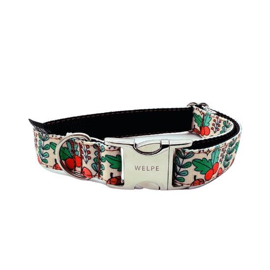 COLLAR PARA PERRO XMAS