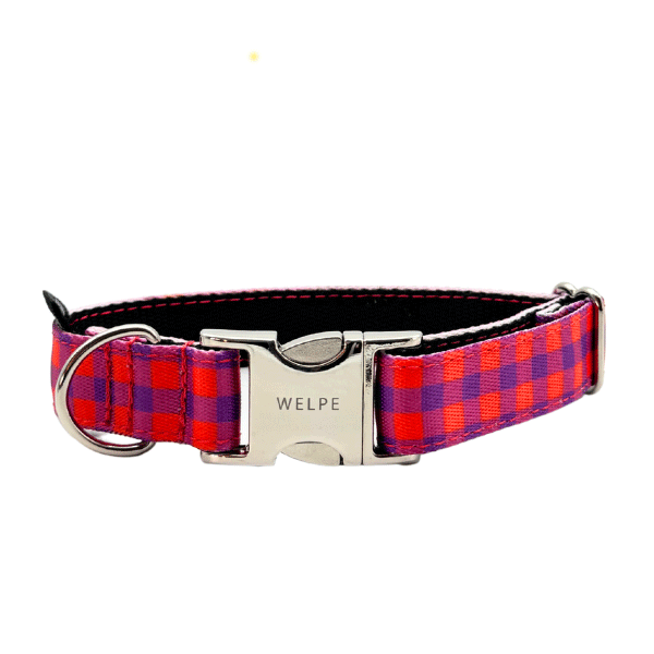 COLLAR PARA PERRO BERRY