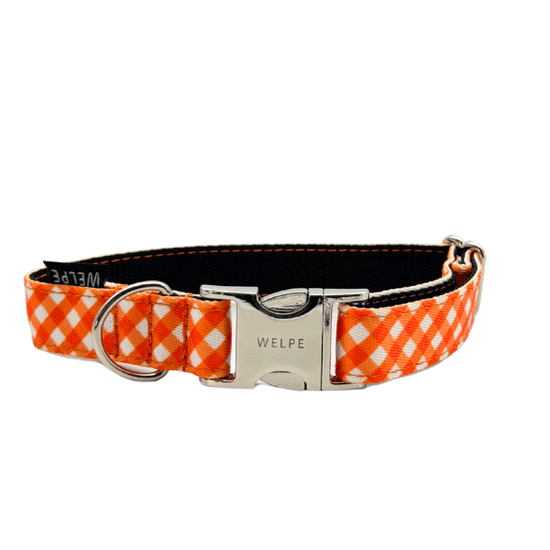 COLLAR PARA PERRO CITRUS