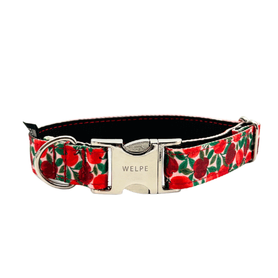 COLLAR PARA PERRO RUBY