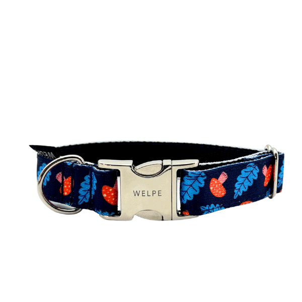 COLLAR PARA PERRO SHROOM