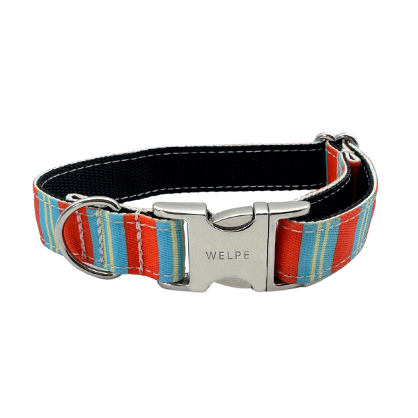 COLLAR PARA PERRO POSITANO
