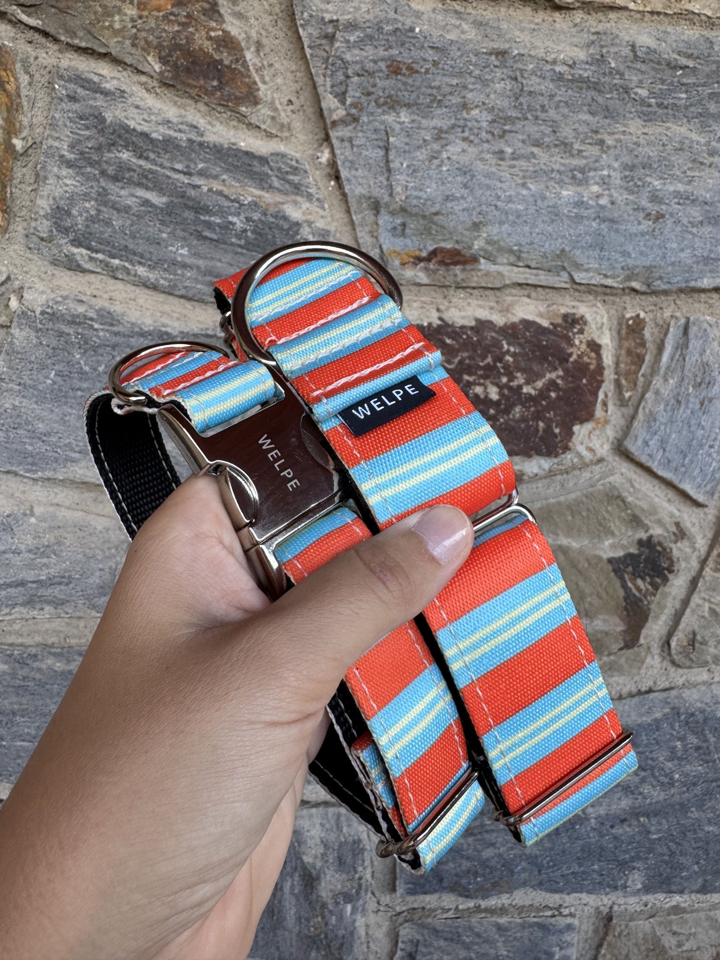 COLLAR PARA PERRO POSITANO