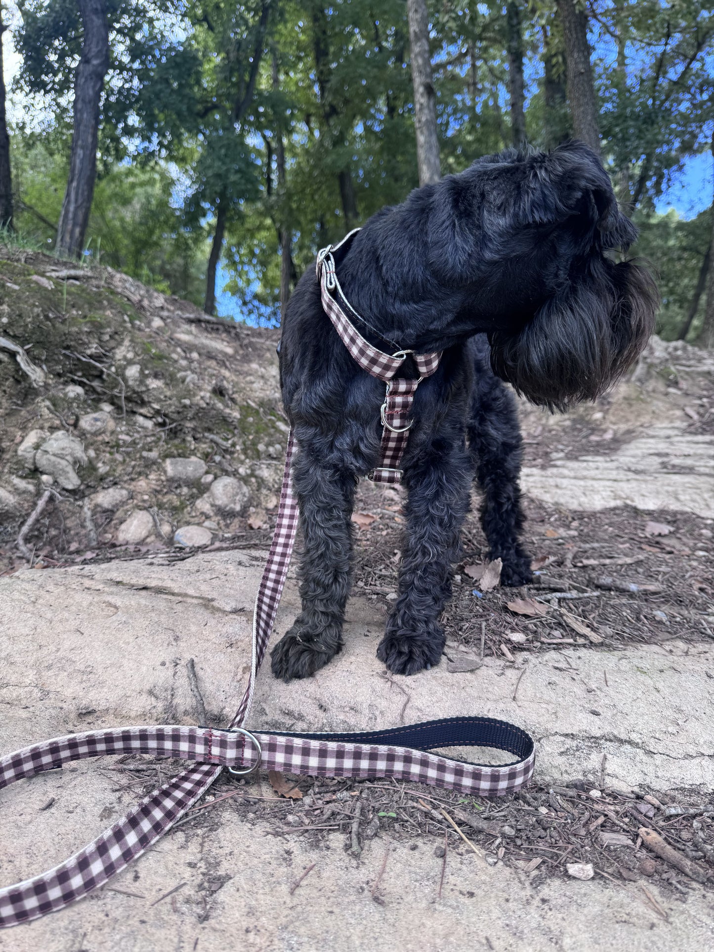 ARNÉS PARA PERRO VICHY MARRÓN