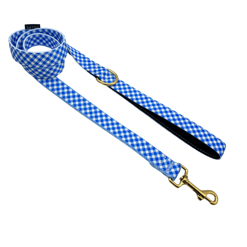 CORREA PARA PERRO CAPRI