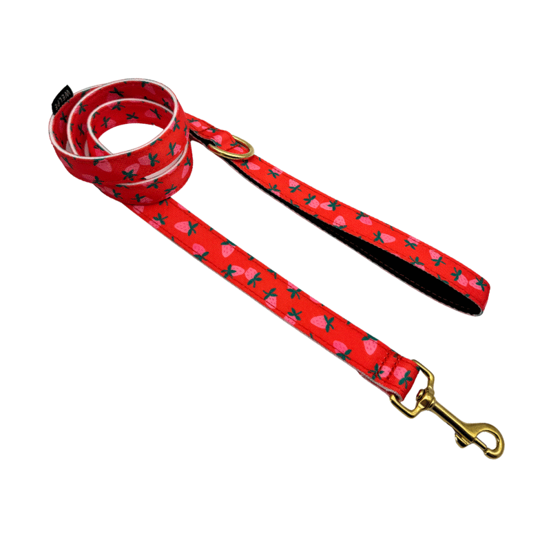 CORREA PARA PERRO FARGOLA