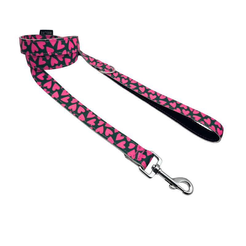 CORREA PARA PERRO FRIENZE