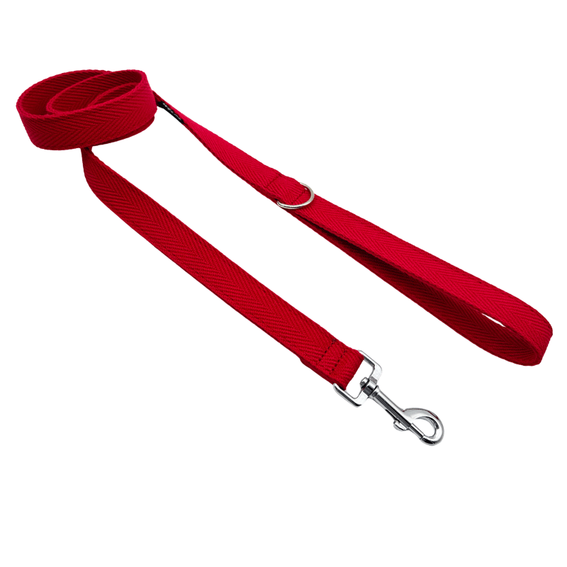 CORREA PARA PERRO ROSSO