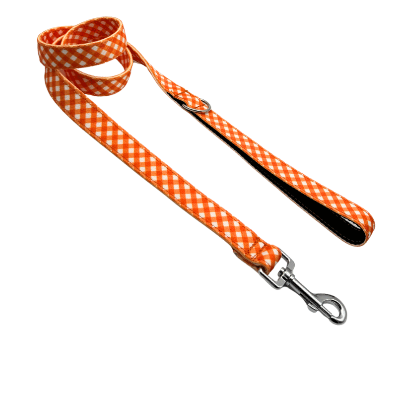 CORREA PARA PERRO CITRUS