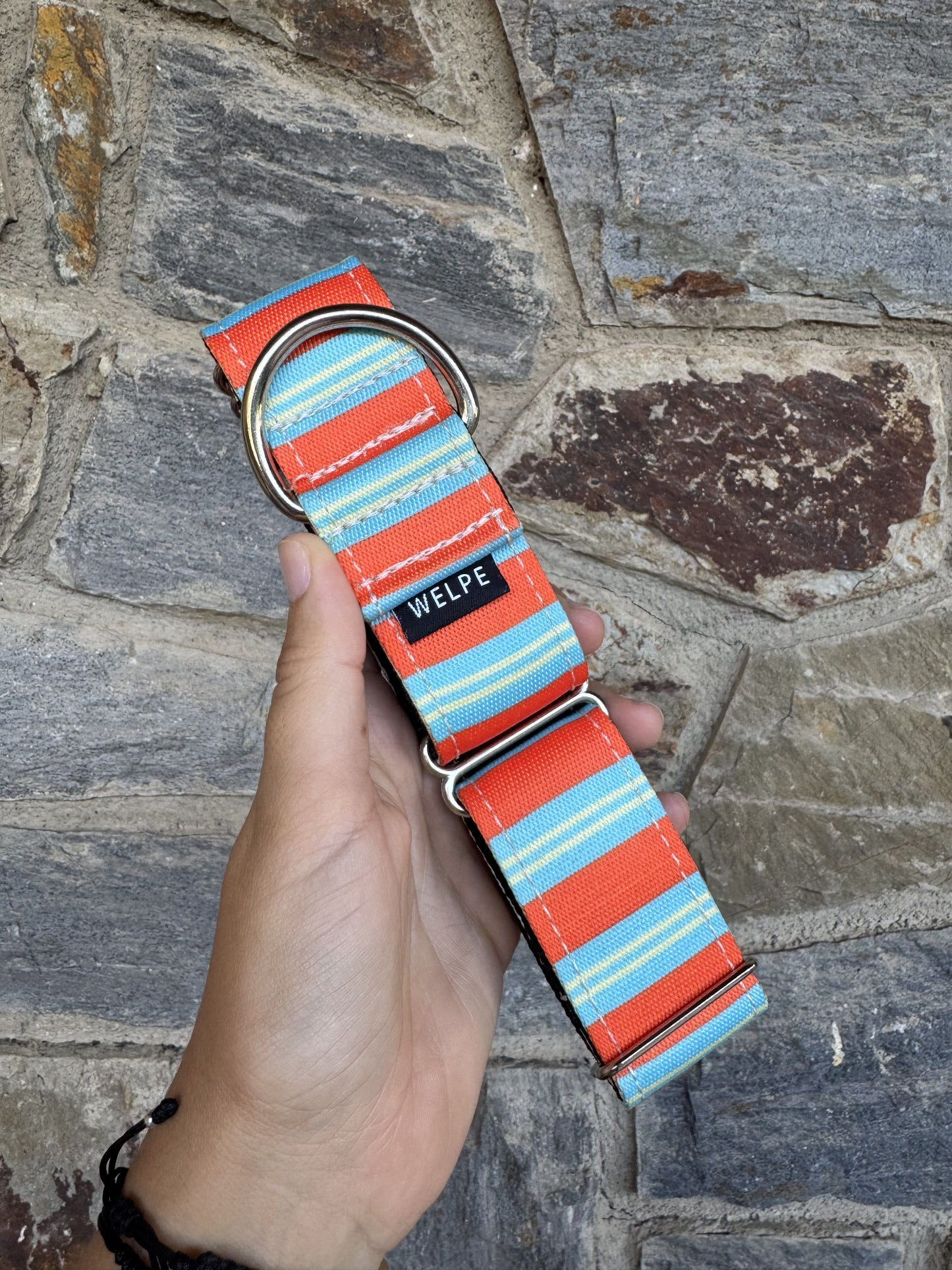 COLLAR MARTINGALE POSITANO