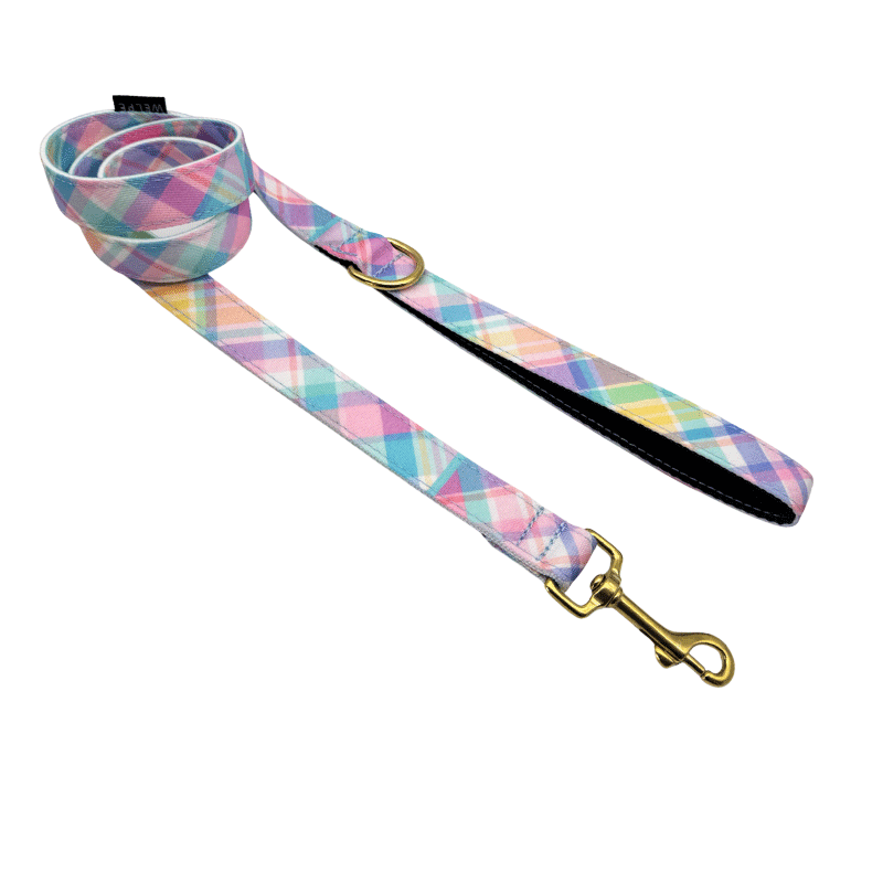 CORREA PARA PERRO CANDY