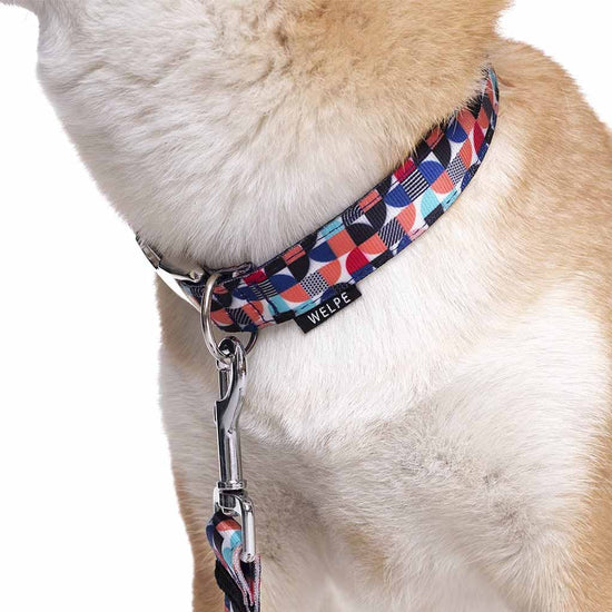Detalle estampado collar para perros modelo Tuvalu