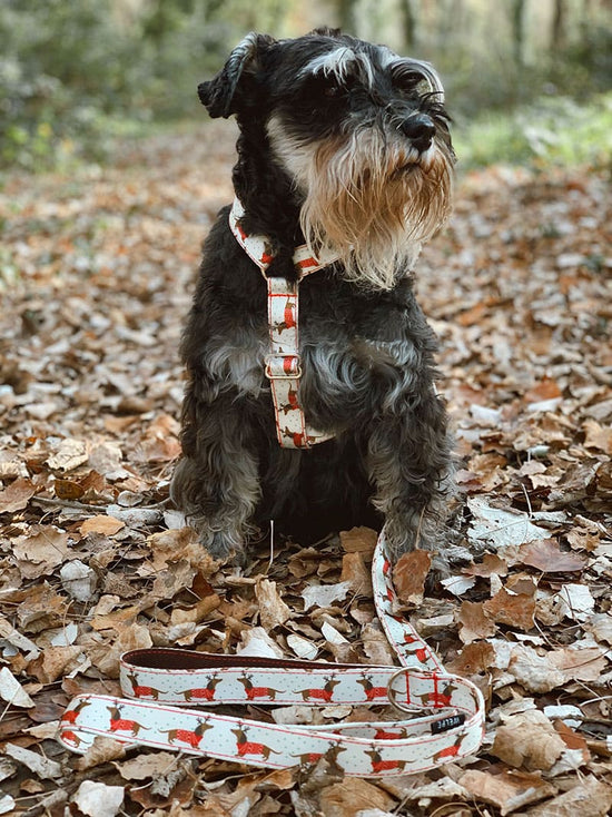 ARNÉS PARA PERRO REINDEER DOG