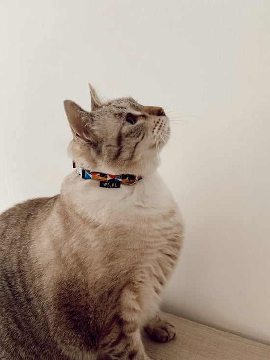 gato con collar estampado tricolor azul, amarillo y negro