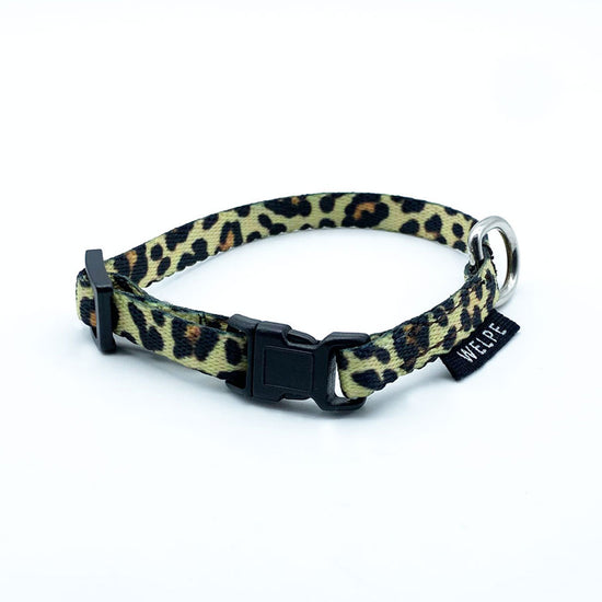 collar para gato de estampado leopardo