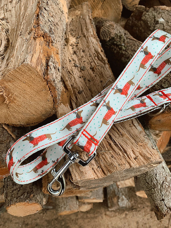 CORREA PARA PERRO REINDEER DOG